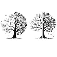 Black and white illustration of two trees, one whole with leaves on one side, the other split showing a bare and leafy side, symbolizing duality or seasons illustration vector