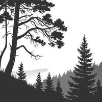 Majestic pine forest silhouette with towering trees, dense foliage, and a serene, foggy backdrop evoking a sense of tranquil wilderness illustration vector