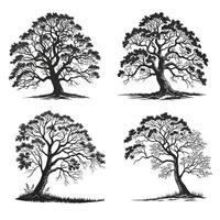 Four detailed black and white tree silhouettes with intricate branches and roots, showcasing different angles and perspectives, perfect for design elements illustration vector