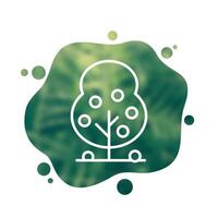 fruit tree icon in line design vector