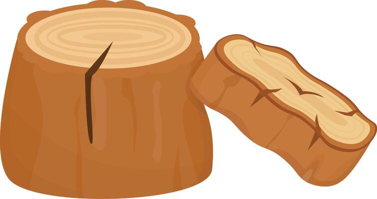 Small Stump Slice