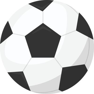 Black and White Soccer Ball