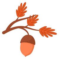 Acorn on branch with autumn leaves vector