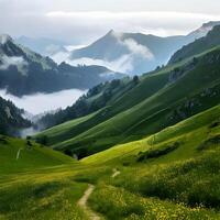 Serene Green Mountain Valley Landscape with Fog and Path photo
