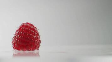 Raspberry's Gentle Impact Slow Motion Fall Juice Splash video