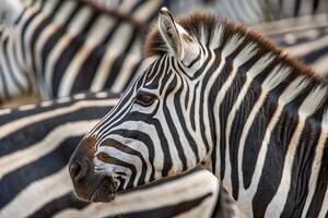 seamless zebra pattern -generated by ai photo