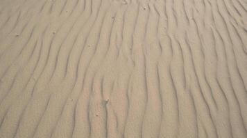 Aerial view of a desert, sand dunes. Texture of the surface of desert nature video