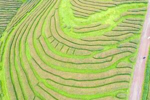 overhead drone aerial view of a tea plantation, background texture patterns photo
