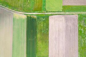 rural landscape with diverse crop fields from above drone view in spring photo