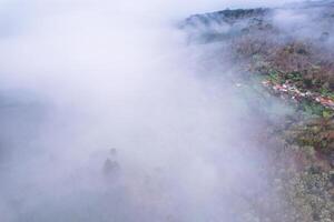 serene foggy vista revealing treetops and village roofs from drone photo