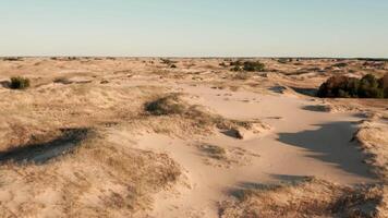 Aerial view of a desert, sand dunes. Texture of the surface of desert nature 19 video