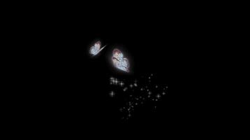 Two butterflies are flying in the dark video