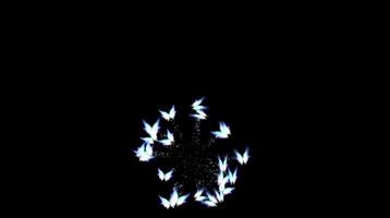 A black background with a blue flame in the middle video