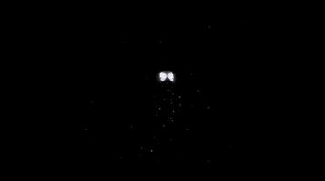 A black and white photo of a plane flying in the dark video