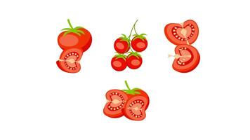 Tomatoes rotating and showing different cuts on white and blue background video