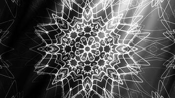 White lines create a striking grayscale floral pattern, suitable for wallpaper, textile design, packaging, or abstract background concepts. video