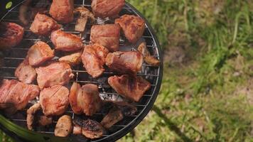 Grilling meat outdoors with green forest background enjoying nature fresh air and delicious barbecue cooking. video