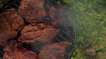 Man grilling meat on charcoal enjoying a relaxing outdoor barbecue in nature. video