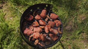 Steaks sizzling and giving off aroma while cooking barbecue at a picnic outdoors enjoying fresh air and nature. video