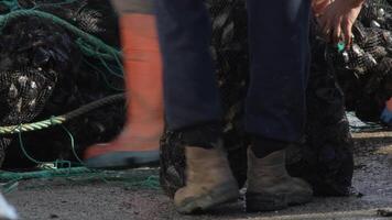Workers unloading meshes of freshly caught mussels in a port video