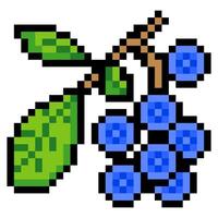 Blueberry fruit in pixel art style vector