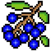 Blueberry with pixel art style vector