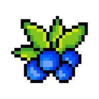 Blueberry with pixel art isolated on white background vector