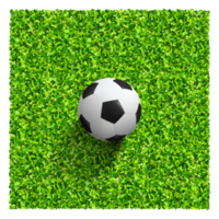 Soccer ball on green grass field. Top views of soccer ball on green grass of soccer field background with green lawn pattern and texture. png