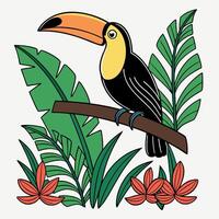 Toucan in the jungle clipart vector