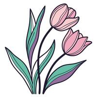 A drawing of two pink tulips vector