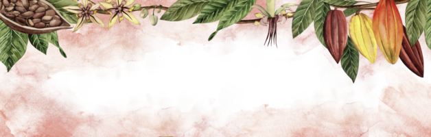 A banner with cocoa beans, branches, leaves, and flowers of a chocolate tree on a background with pink spots. The watercolor illustration is hand-drawn in a botanical style. For Websites design, cards png