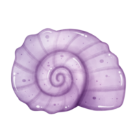 Purple Spiral Seashell Illustration for Beach Art png
