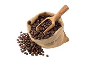 Top view of a wooden scoop of roasted coffee beans in a sack bag isolated on a transparent background drinks design png