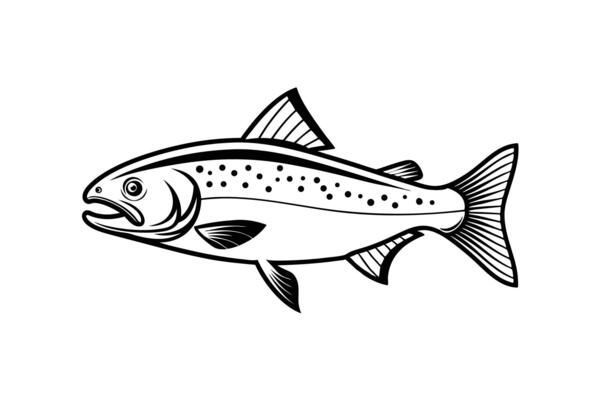 Freshwater Trout Silhouette Wild River Dweller