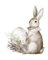 Watercolor illustration vintage Easter bunny with egg lying in a wicker nest. Hand drawn design with pastel tones for religion card and invitation. For springtime holiday celebration templates. png