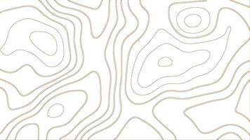Minimal Topographic Map Lines in Beige. Abstract Terrain Contour Background Design vector