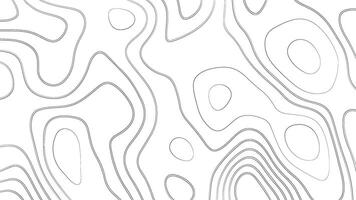 White Background with Thin Black Topographic Lines vector