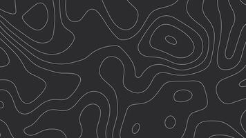 Dark Gray Topographic Map Background with White Contour Lines vector