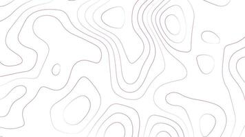 White Background with Pink Topographic Lines. Abstract Terrain Map Design vector