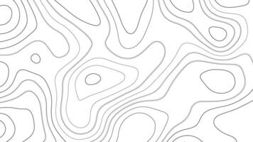 White Background with Black and Gray Contour Lines vector