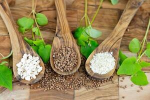 buckwheat Fagopyrum esculentum and three spoons photo
