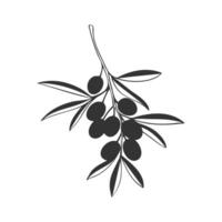 Olive branch stylized drawing dark color, silhouette branch, isolated on white background. vector