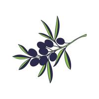 Olive branch stylized drawing, icon logo label, element design, isolated on white background. vector