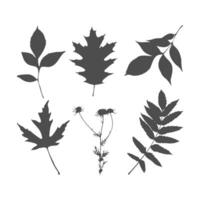 Set of silhouettes of leaves on white background. vector