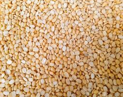 Uncooked Yellow Lentils top view photo