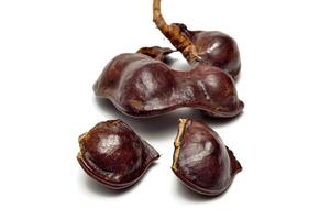Archidendron pauciflorum, commonly known as jengkol or jering is a species of flowering tree in the pea family photo