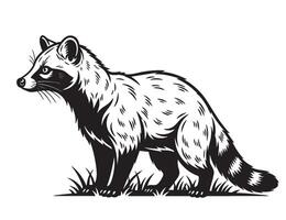 Detailed black and white of a civet standing on grass, showing its striped tail, pointed snout, and alert posture. Great for wildlife and nature art. Animal. vector