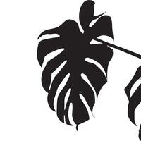 Monstera Leaf Silhouette Isolated on White Background vector