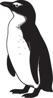 Penguin illustration black and white elegant style, Standing penguin minimal drawing vector