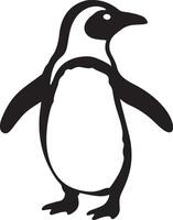 Penguin black and white drawing animal theme, Antarctic bird simple line sketch vector